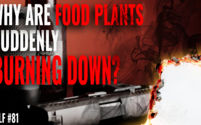 Why Are FOOD PLANTS Suddenly BURNING DOWN Across The Nation?: LSLF Podcast #81